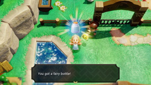 Legend of Zelda: Echoes of Wisdom Fairy Bottles