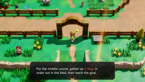 Legend of Zelda: Echoes of Wisdom Heart Pieces