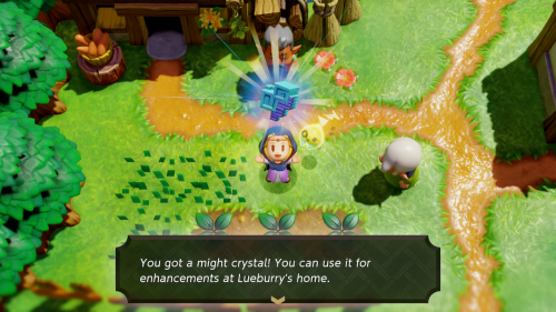 Legend of Zelda: Echoes of Wisdom Might Crystals