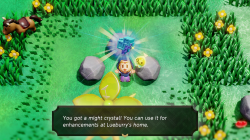 Legend of Zelda: Echoes of Wisdom Might Crystals