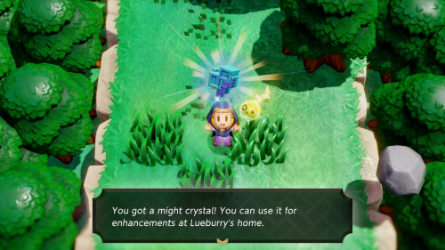 Legend of Zelda: Echoes of Wisdom Might Crystals