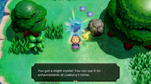 Legend of Zelda: Echoes of Wisdom Might Crystals