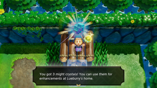 Legend of Zelda: Echoes of Wisdom Might Crystals