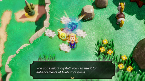 Legend of Zelda: Echoes of Wisdom Might Crystals