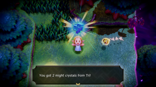 Legend of Zelda: Echoes of Wisdom Might Crystals