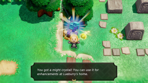 Legend of Zelda: Echoes of Wisdom Might Crystals