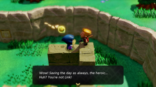 Legend of Zelda: Echoes of Wisdom Side Quests