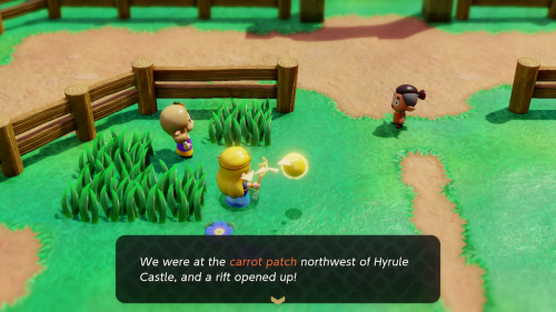 Legend of Zelda: Echoes of Wisdom Side Quests