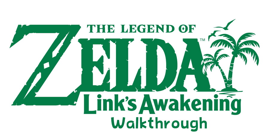 Zelda Link's Awakening Switch Manual 