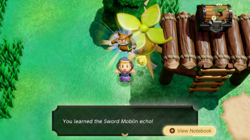 Legend of Zelda: Echoes of Wisdom Walkthrough Central Hyrule