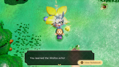 Legend of Zelda: Echoes of Wisdom Walkthrough Central Hyrule