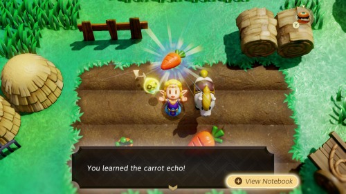 Legend of Zelda: Echoes of Wisdom Walkthrough Minor Rifts