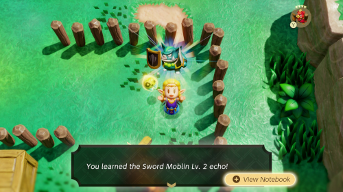 Legend of Zelda: Echoes of Wisdom Walkthrough Minor Rifts