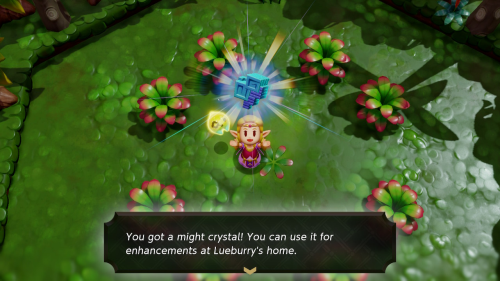 Legend of Zelda: Echoes of Wisdom Walkthrough Faron Wetlands