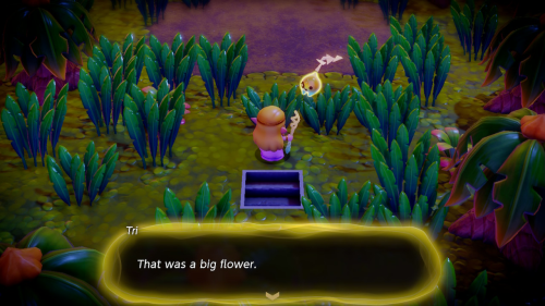 Legend of Zelda: Echoes of Wisdom Walkthrough Faron Wetlands