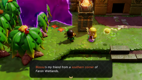 Legend of Zelda: Echoes of Wisdom Walkthrough Faron Wetlands