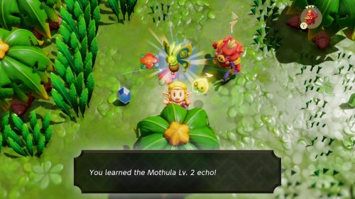 Legend of Zelda: Echoes of Wisdom Walkthrough Faron Wetlands