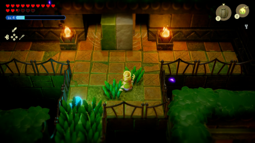 Legend of Zelda: Echoes of Wisdom Walkthrough Faron Temple